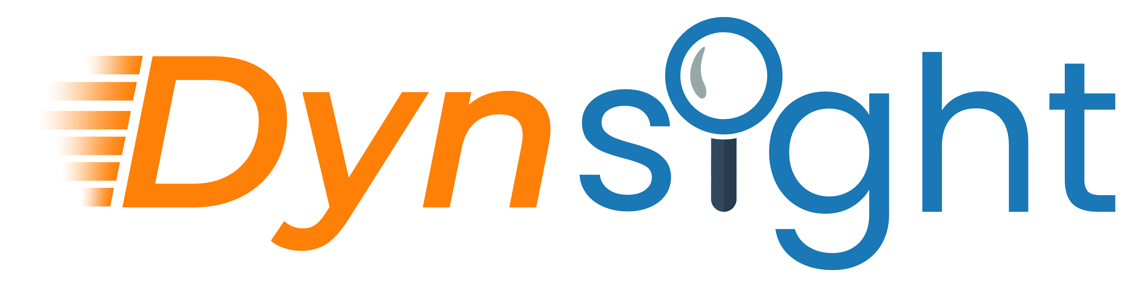 _images/logo_dynsight.png