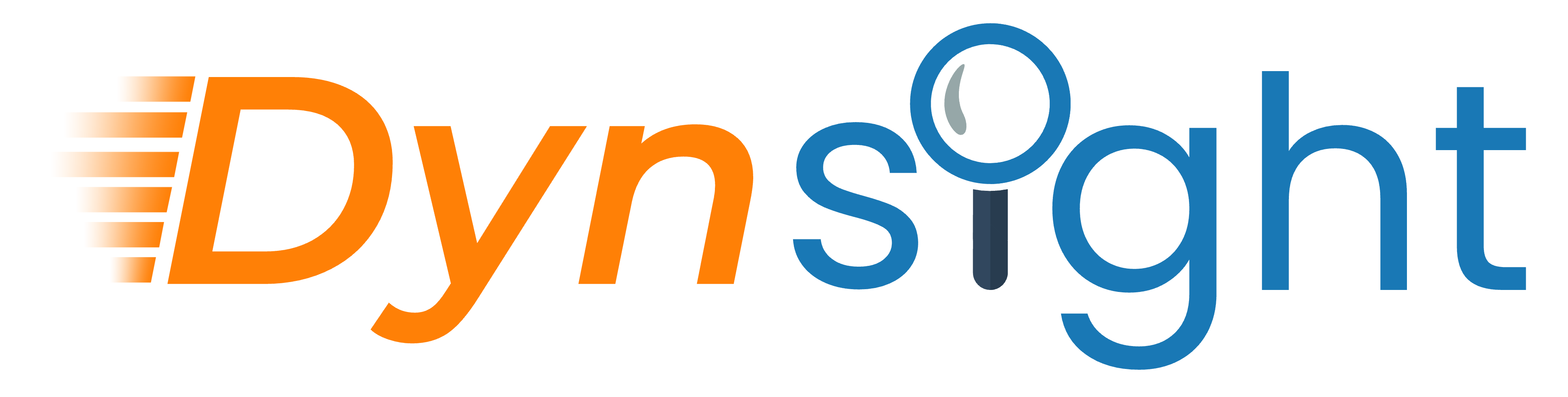 _images/logo_dynsight.png